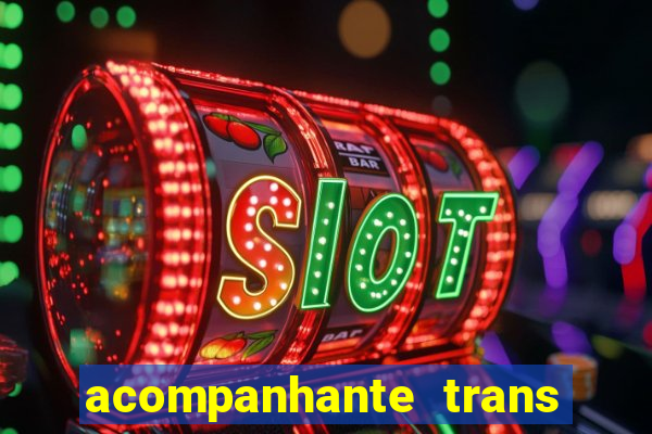 acompanhante trans baixada fluminense