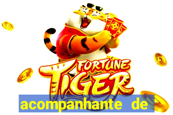 acompanhante de luxo baixada fluminense