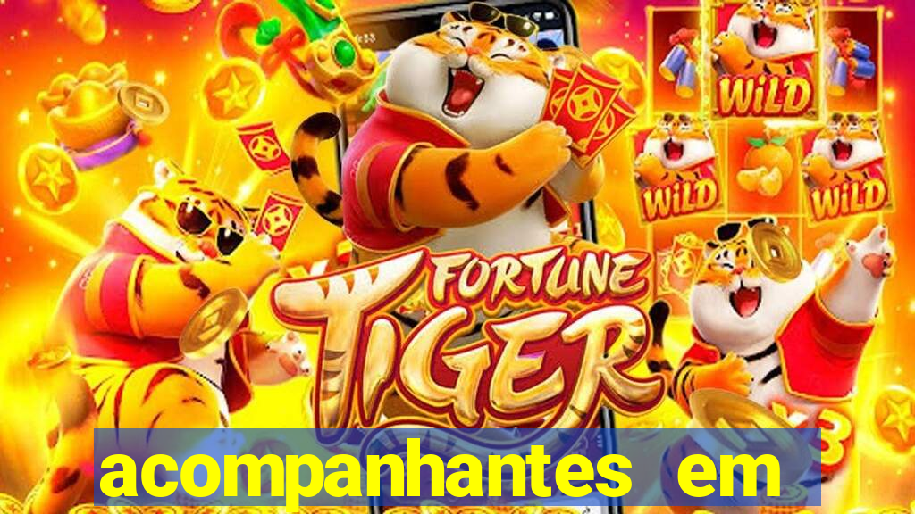 acompanhantes em porto seguro