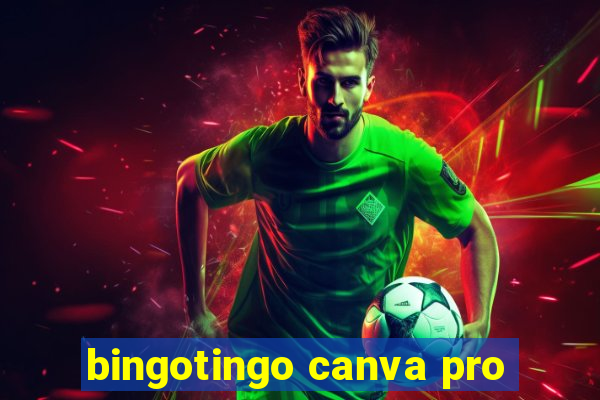 bingotingo canva pro