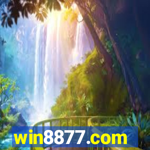 win8877.com