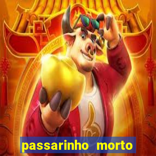 passarinho morto significado espiritual