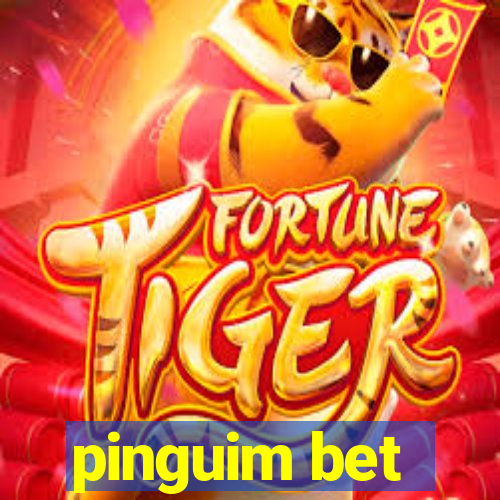pinguim bet