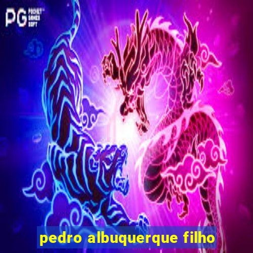 pedro albuquerque filho
