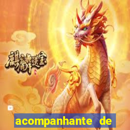 acompanhante de luxo zona norte