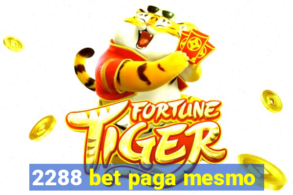 2288 bet paga mesmo