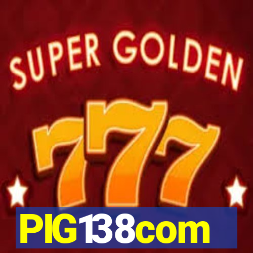 PIG138com