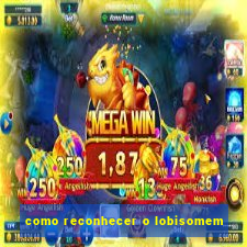 como reconhecer o lobisomem