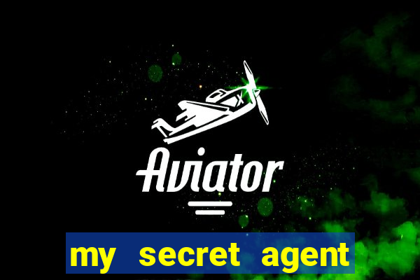 my secret agent husband legendado