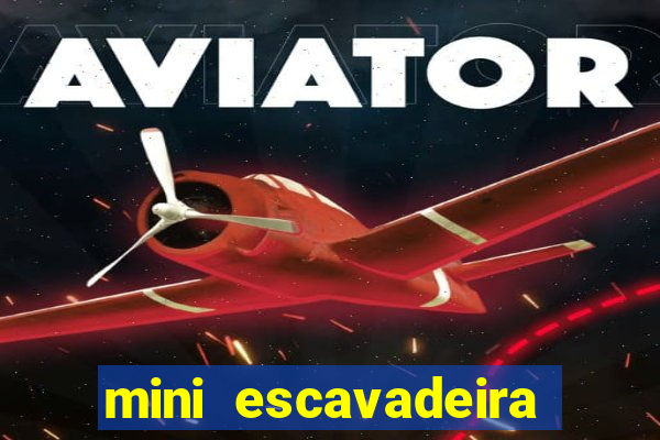 mini escavadeira aluguel rj