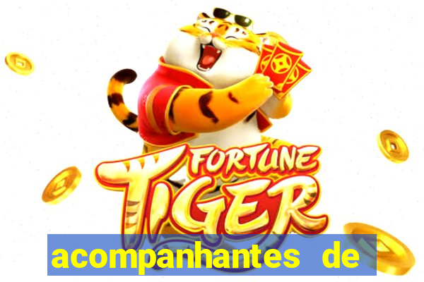 acompanhantes de luxo porto alegre