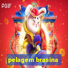 pelagem brasina