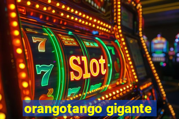 orangotango gigante
