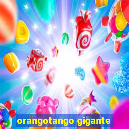 orangotango gigante