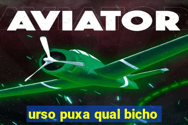 urso puxa qual bicho