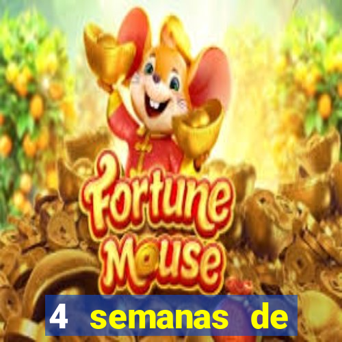 4 semanas de gravidez, muita fome