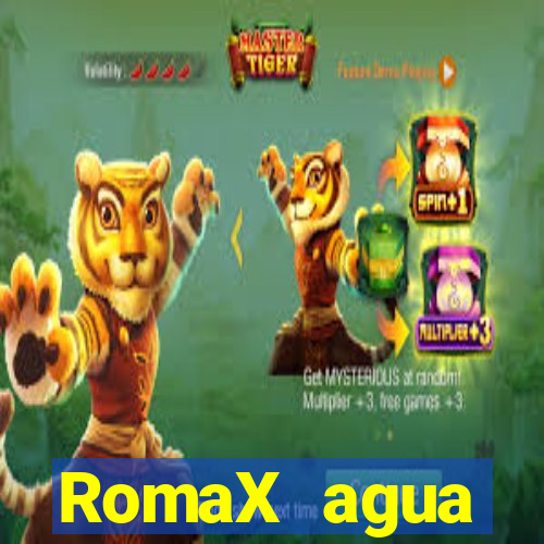 RomaX agua sanitaria fispq agua sanitaria romax