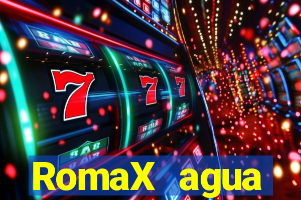 RomaX agua sanitaria fispq agua sanitaria romax