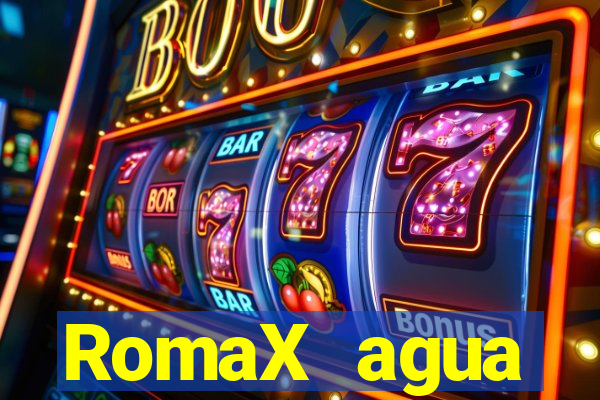 RomaX agua sanitaria fispq agua sanitaria romax