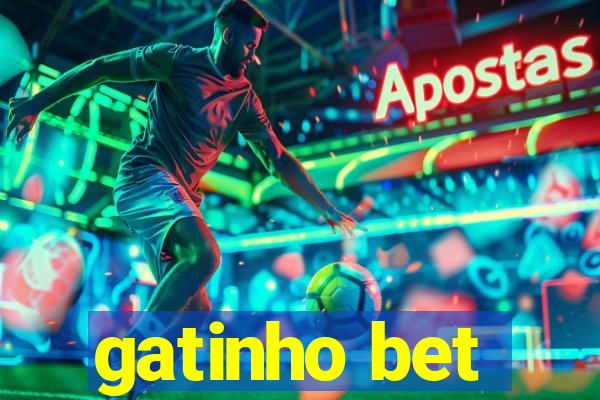 gatinho bet