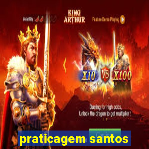 praticagem santos