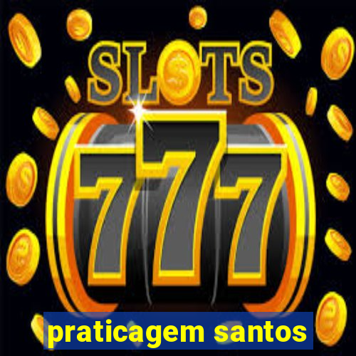 praticagem santos