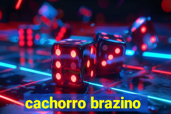 cachorro brazino
