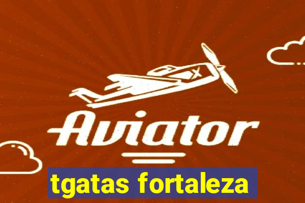 tgatas fortaleza