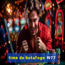 time do botafogo 1977