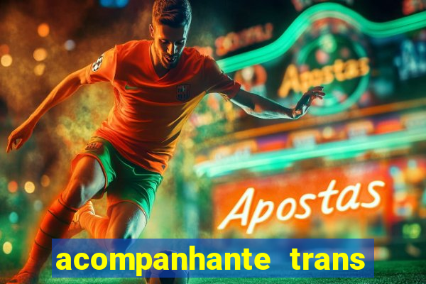 acompanhante trans porto seguro