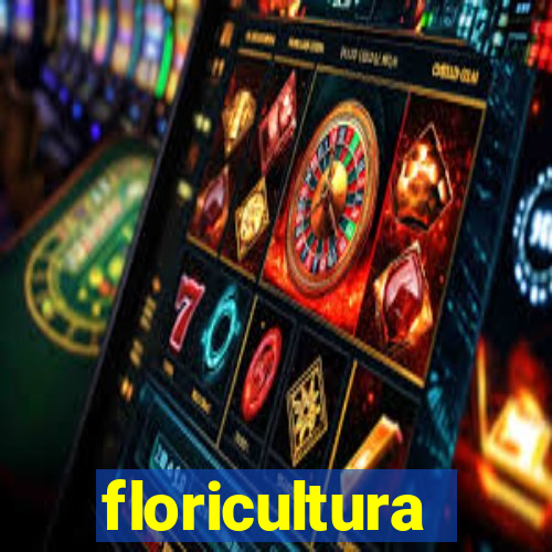 floricultura juazeiro bahia
