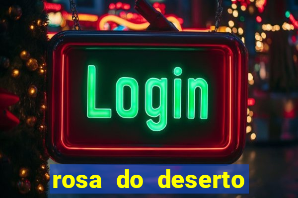 rosa do deserto lilac frost