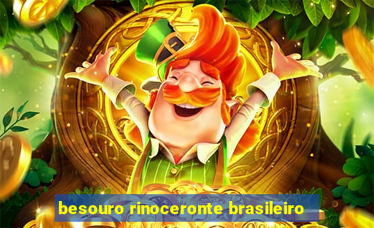 besouro rinoceronte brasileiro