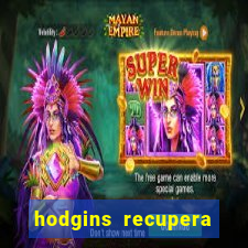 hodgins recupera sua fortuna