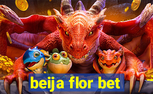 beija flor bet