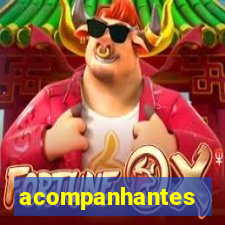 acompanhantes gordinhas santos