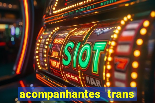 acompanhantes trans baixada fluminense