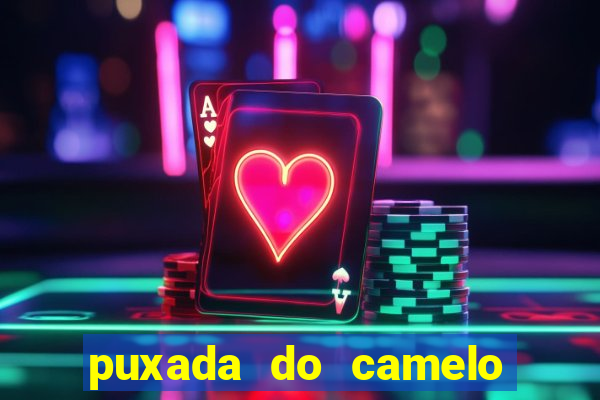 puxada do camelo no jogo do bicho