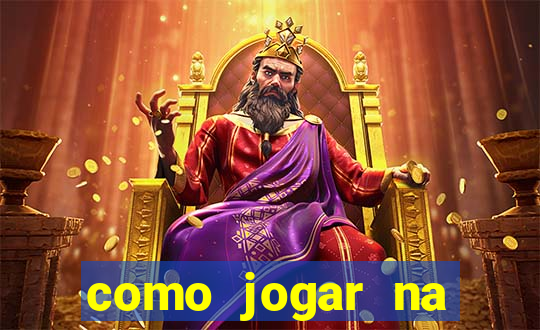 como jogar na loteca pela internet