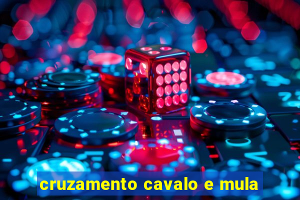 cruzamento cavalo e mula