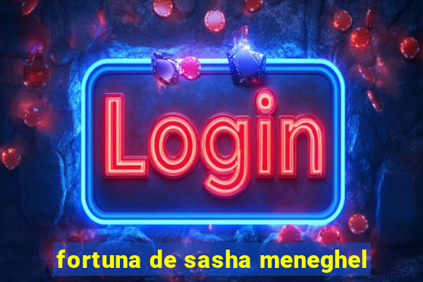 fortuna de sasha meneghel