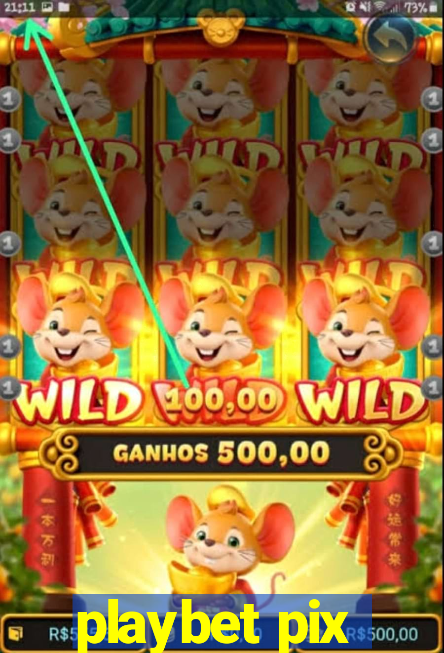 playbet pix