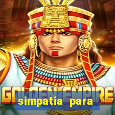 simpatia para ganhar no bingo de cartela