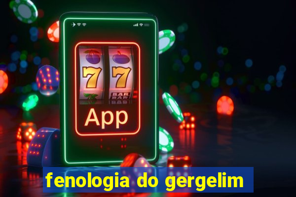 fenologia do gergelim