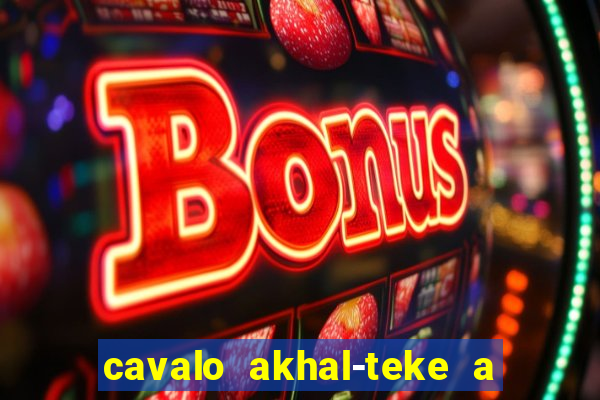 cavalo akhal-teke a venda no brasil cavalo akhal teke no