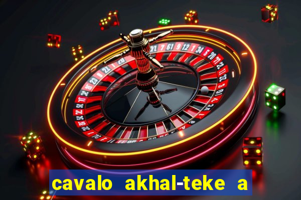 cavalo akhal-teke a venda no brasil cavalo akhal teke no