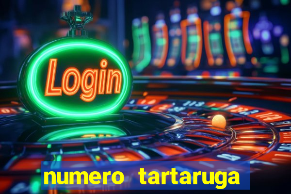 numero tartaruga jogo do bicho