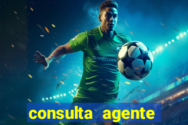 consulta agente autuador sp