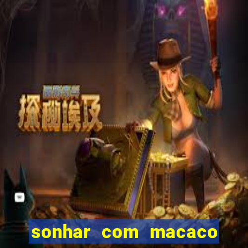 sonhar com macaco o que significa