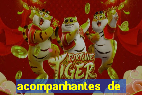 acompanhantes de luxo porto feliz